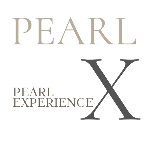 Pearl-X　余暇活性化支援